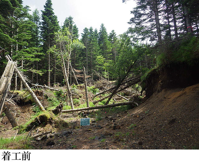 一の橋治山工事(2工区)